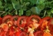 Salada de Tomates, Cebolas e Agrião