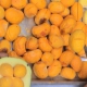 Carne Moída com Pequi
